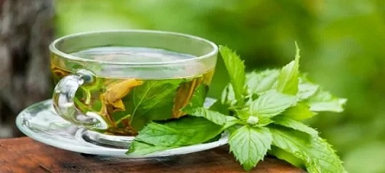 تصویر 4 از خرید و قیمت عرق نعنا دو آتیشه + فروش عمده